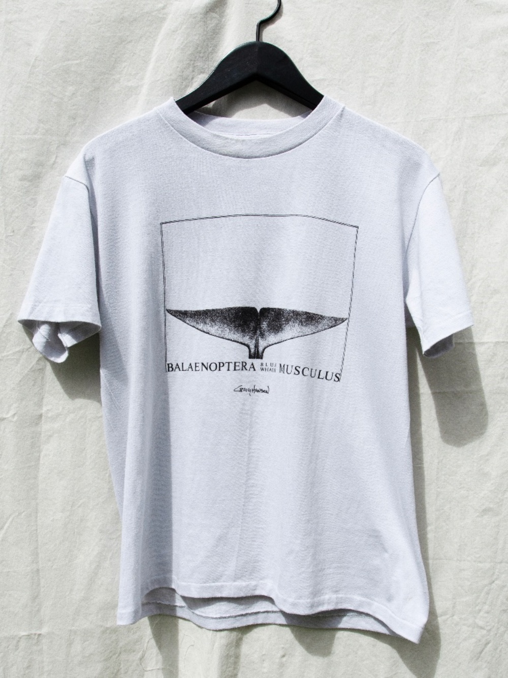 Vintage 90's Whale Graphic T-shirt Balaenoptera Musculus